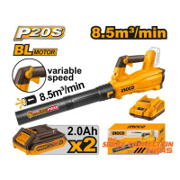 cabli204282-1
