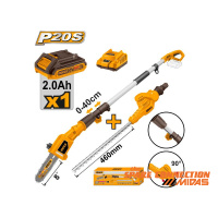 cpts201681